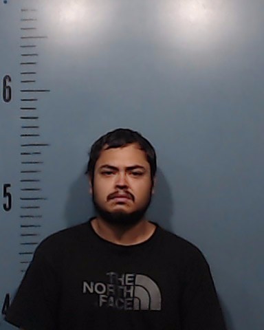 Salas, Daniel, Jr. booking photo