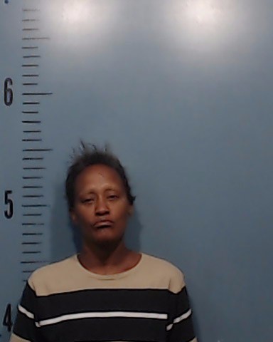 Houston, Tasha Lashay booking photo