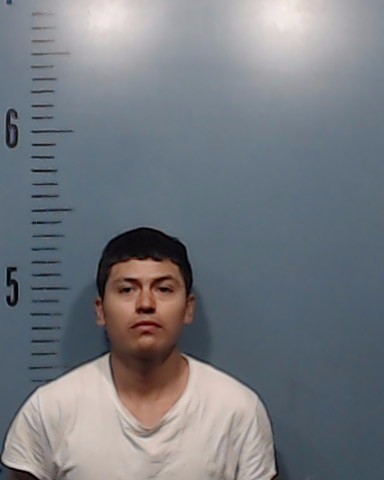 Ramirez-Ramirez, Santiago booking photo