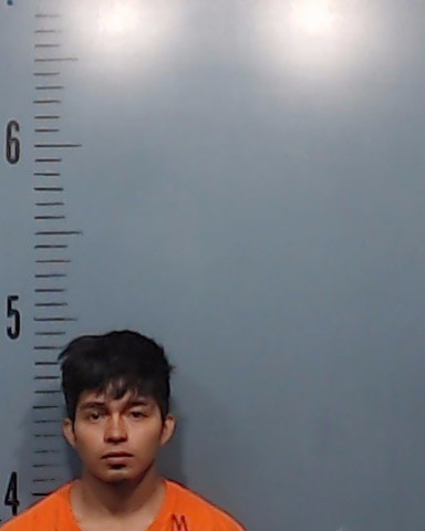 Martinez-Ramas, Edvin Aroldo booking photo