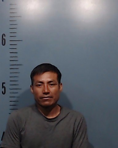 Olivares-Faustino, Celestino booking photo
