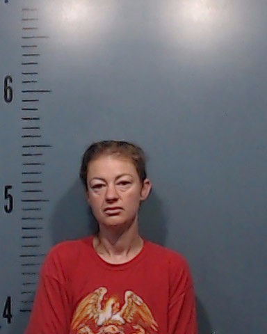 McClintock, Christy Lynn booking photo