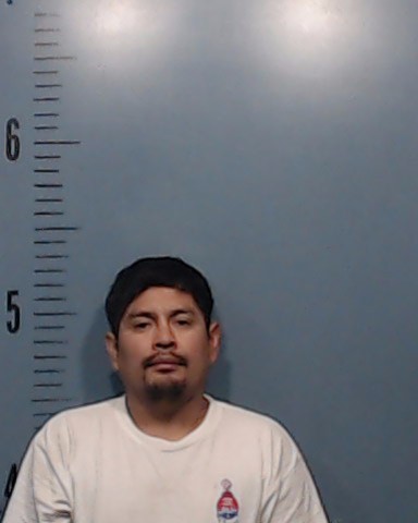 Alvarado Tecu, Mynor Romeo booking photo