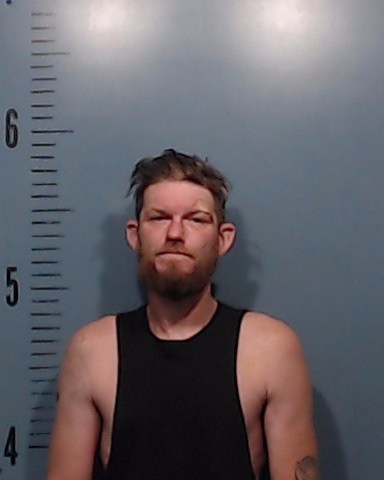 Yeley, Lee Wayne booking photo