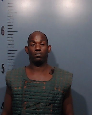 Hunter, Domnique Damar booking photo