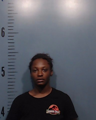 Word, Geralyn Laniece booking photo