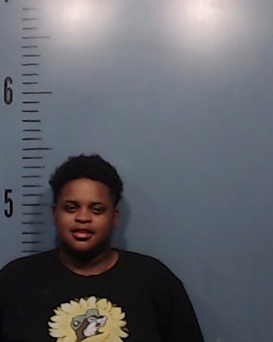 Johnson, Randi Brenae booking photo