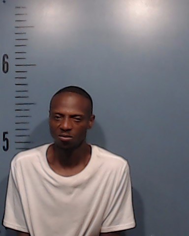 Johnson, Richard Earl booking photo