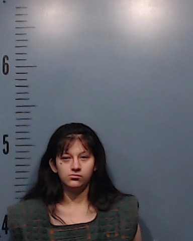 Hernandez, Guadalupe Nellie booking photo