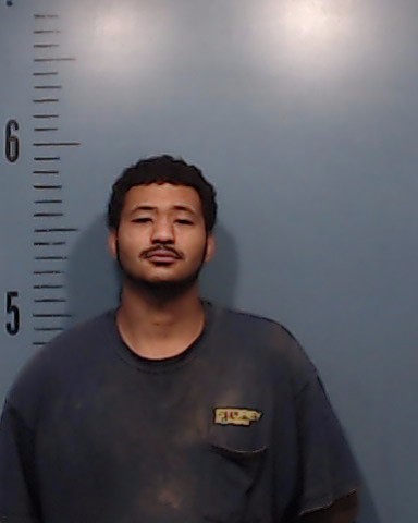 Hudson, Tyler James arrested by Taylor County SO/PD