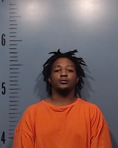 Livingston, Broderic Deshawn, Jr. booking photo