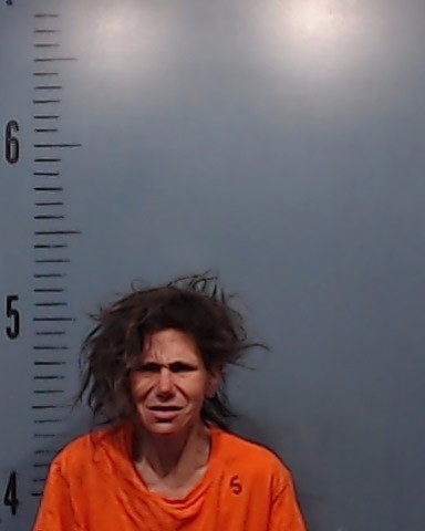 Bailey, Jami Renea booking photo