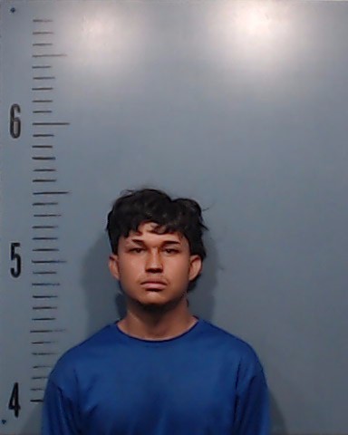 Sanchez-Nunez, Juan David booking photo
