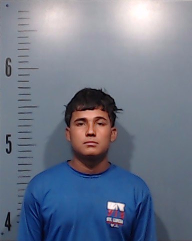 Sanchez-Nunez, Carlos Daniel booking photo