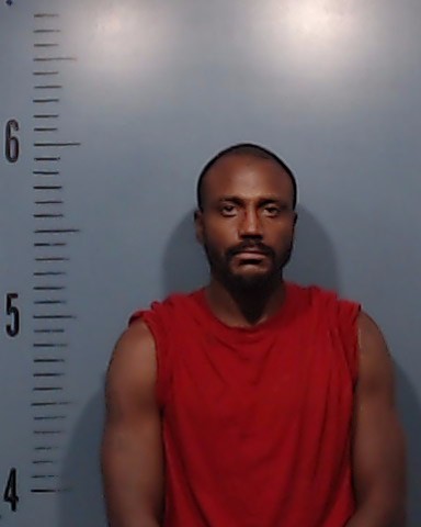 Richardson, Demetrius booking photo