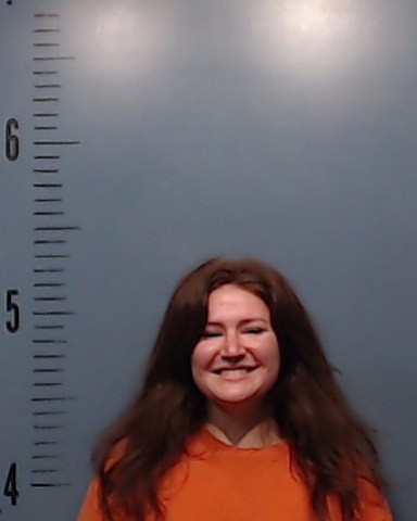 Sullivan, Aerika Noel arrested by Taylor County SO/PD