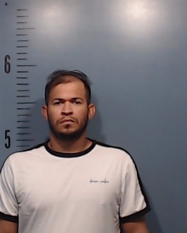 Medina-Navarro, Irwing Rafael booking photo
