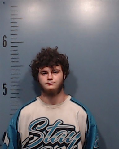 Atkins, James Franklin, Jr. booking photo