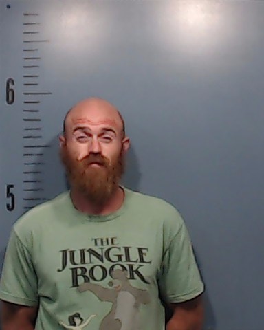 Bowman, Brennen Joshua booking photo