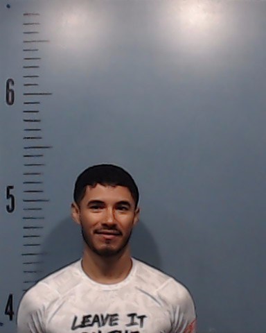 Castro-Flores, Wilson Nahun booking photo