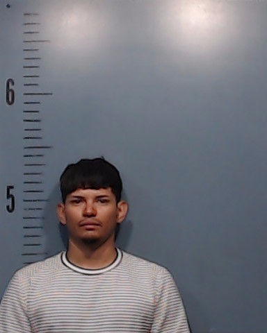 Flores-Burgos, Franklin Geovany booking photo