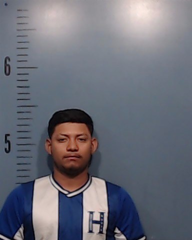 Ochoa-Padilla, Yerlin Yakcell booking photo