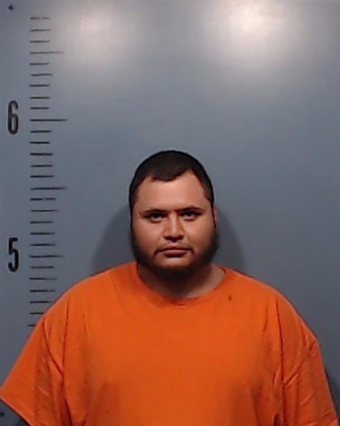 Guerrero-Ramirez, Ricardo Alexis booking photo