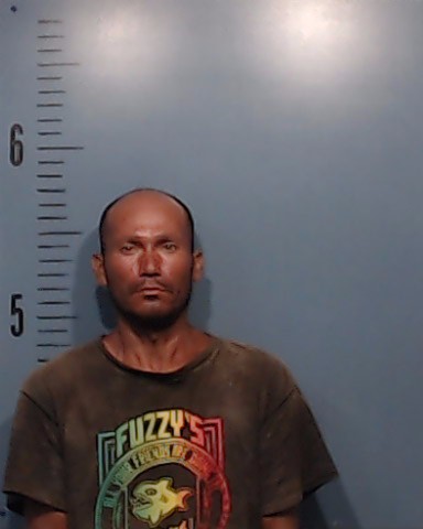 Pinedo-Gurrola, Alonso booking photo