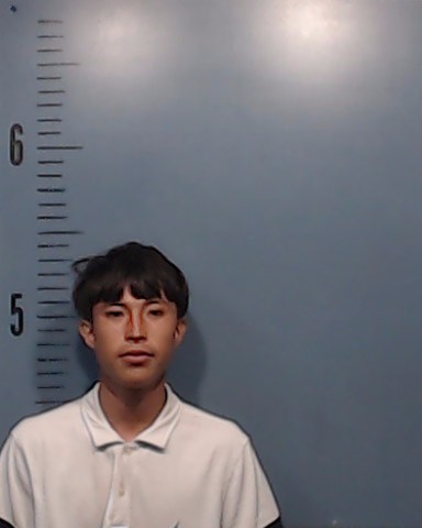 Martinez-Camargo, Axel booking photo