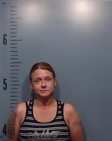Ellison, Lori Beth booking photo