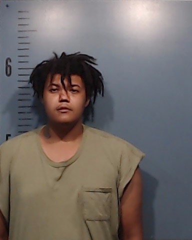 Morris, Robert Michael, Jr. booking photo