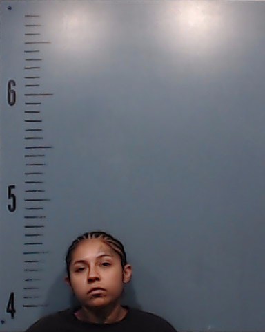 Gonzales, Aneesa booking photo