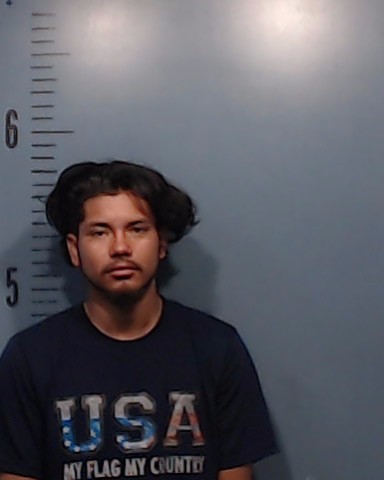 Vasquez-Bonilla, Denis Antonio booking photo