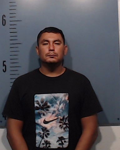 Torres-Olaez, Jose Luis booking photo