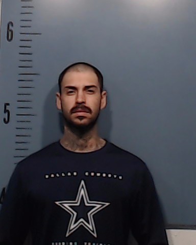 Alvarez-Cardenas, Ricardo booking photo