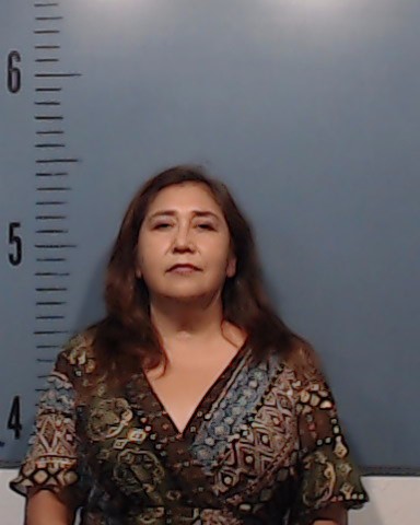 Ramirez, Elida Mendez booking photo