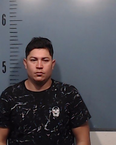 Reyes-Sequeira, Geyner Noel booking photo