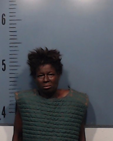 Nichols, Robin Leigh booking photo