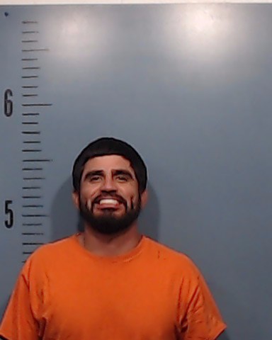 Villarreal, Raul Lee booking photo