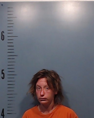 Nickels, Dovie Jane booking photo
