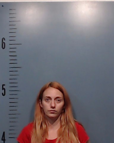 Livingston, Brianna Michelle booking photo