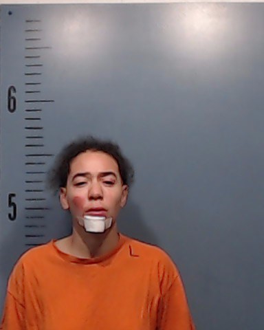 Ellington, Olivia Alise booking photo