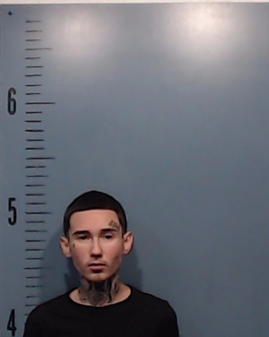 Perez, Paisley Armani Leland booking photo