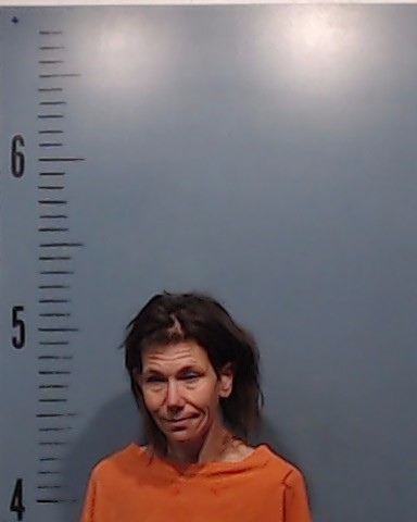 Bailey, Jami Renea booking photo