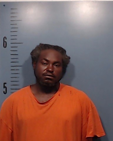 Fleming, Mitchell booking photo