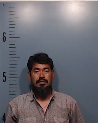 Hernandez, German Gallegos booking photo