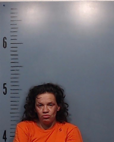 Saldana, Diana booking photo