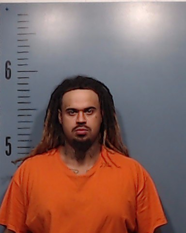 Lieb, Christian Tyler booking photo