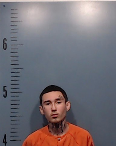 Perez, Paisley Armani Leland booking photo