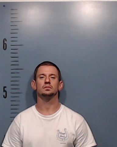 Borcik, Tanner Lane booking photo